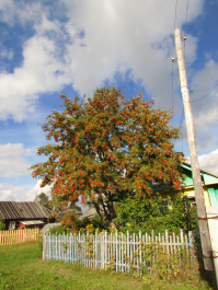 photo 1450224