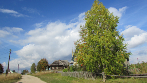 photo 1450226