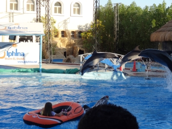 photo 922152