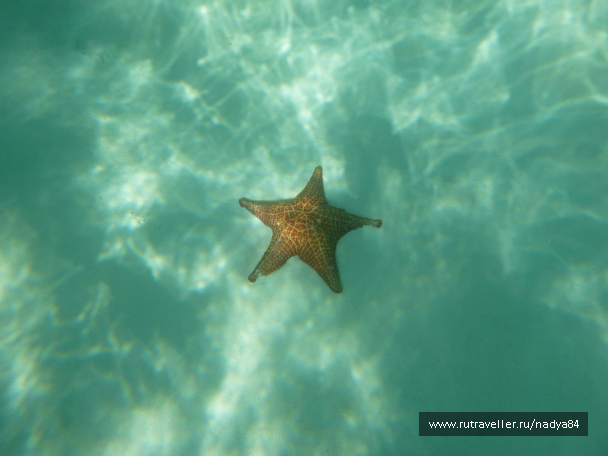 photo 1580601