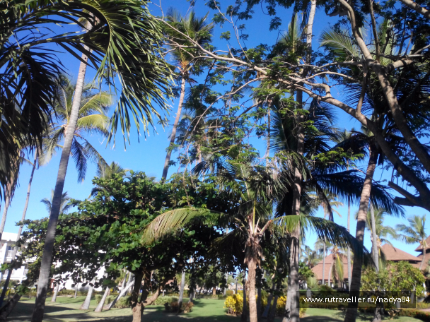 photo 1580642