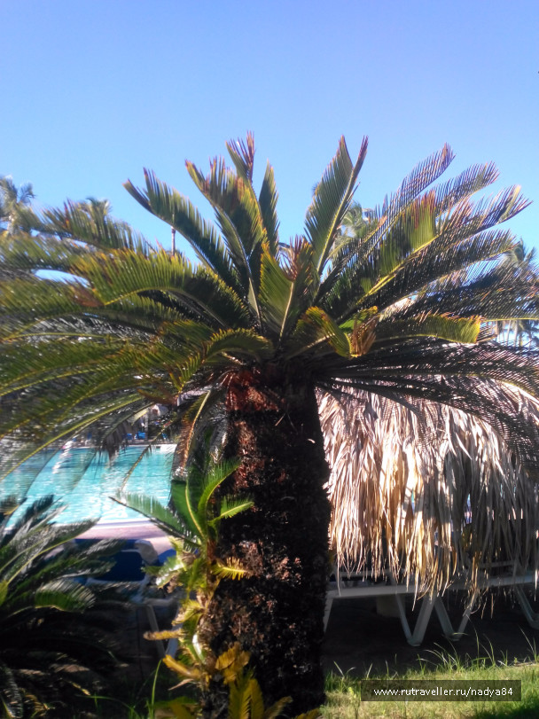photo 1580643
