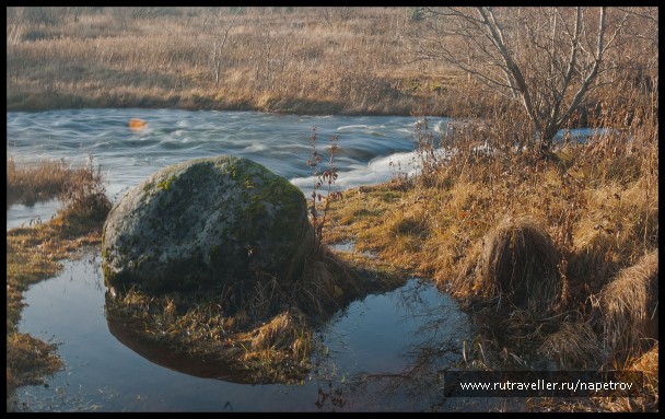 photo 265602
