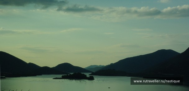 photo 243611