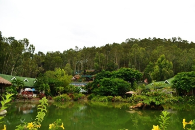 photo 798837