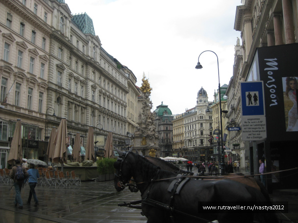 photo 63778
