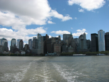 photo 43663