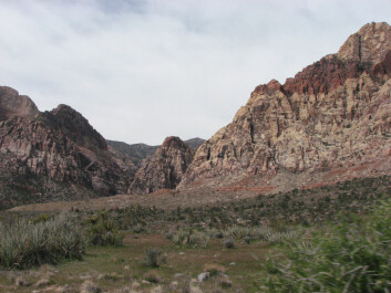 photo 43671