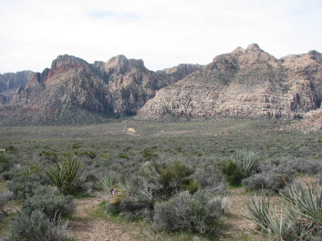 photo 43673