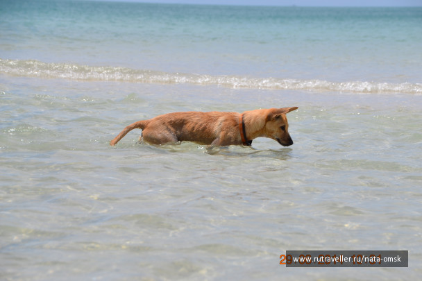 photo 1131473