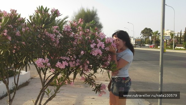 photo 880923