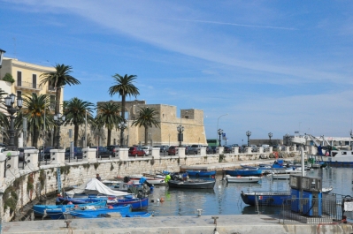 photo 877393