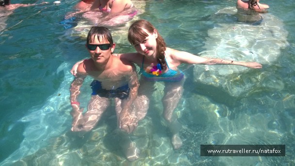 photo 792196