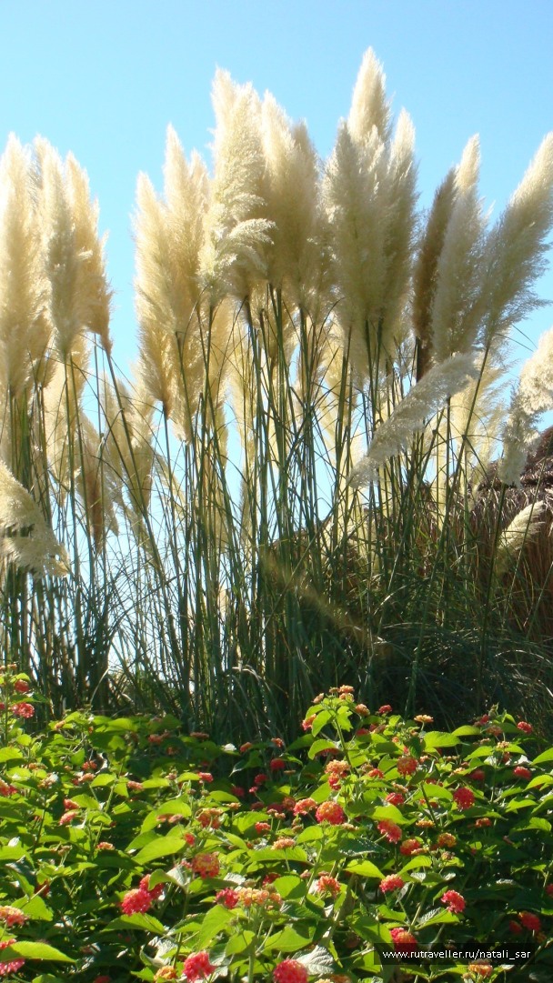 photo 320842
