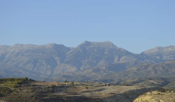_DSC0445