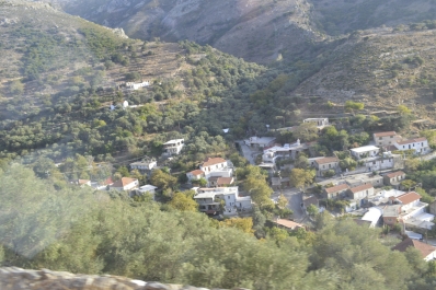 photo 775361