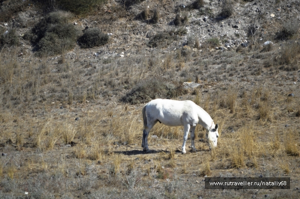 photo 947393