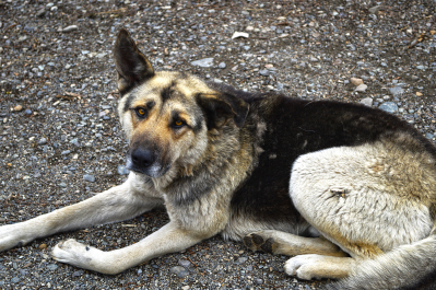 photo 1275792