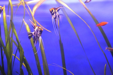 photo 957269