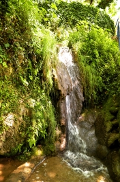photo 958842