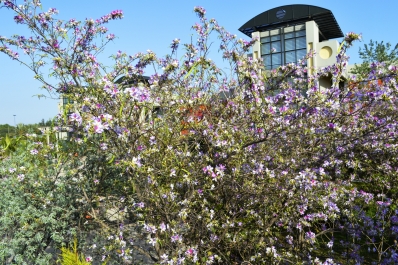 photo 962551