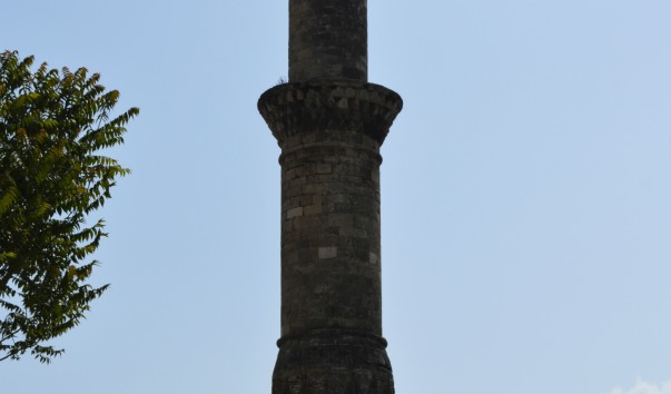 _DSC0554