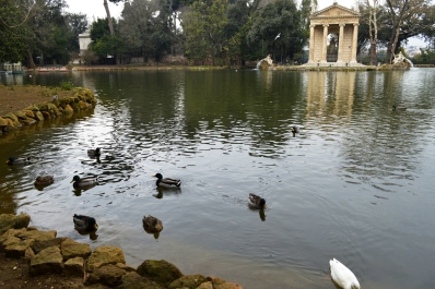 photo 975645