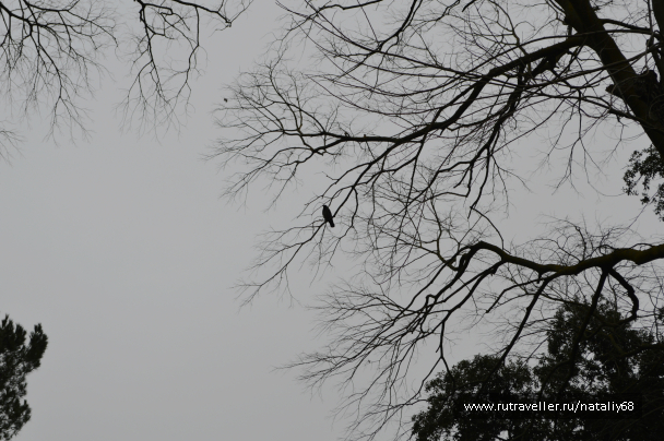 photo 987842