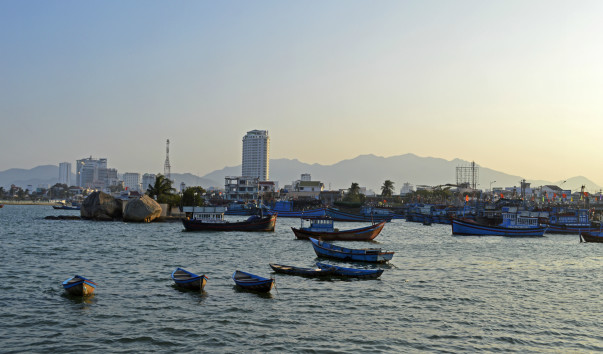 _DSC0240