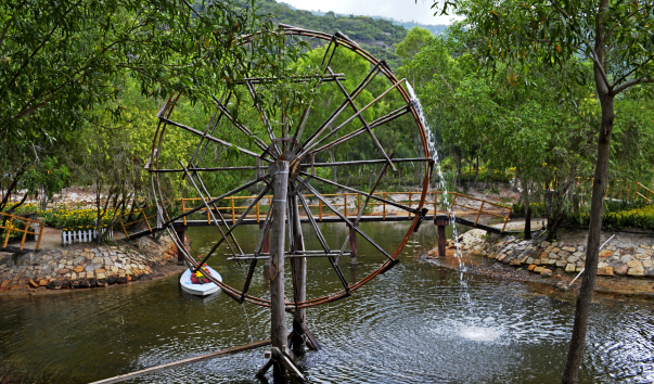 _DSC0841