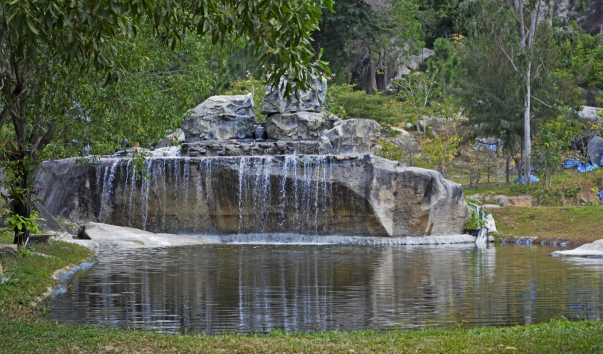 _DSC0980