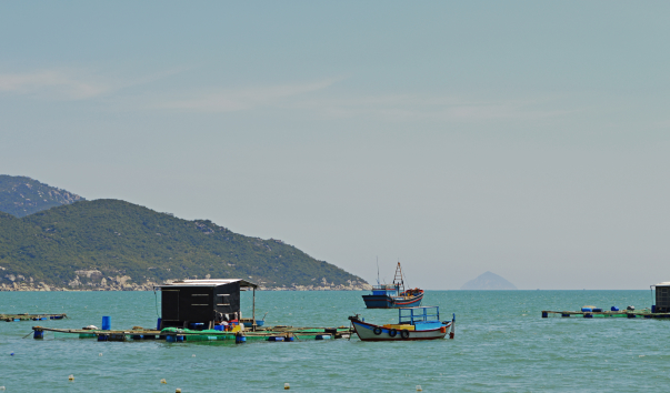 _DSC0046