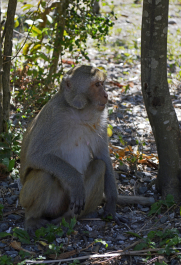 photo 1084782