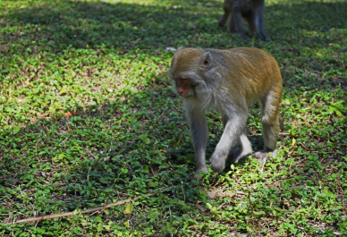 photo 1084783