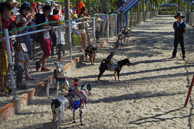photo 1087170