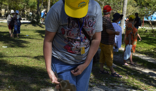 _DSC0096