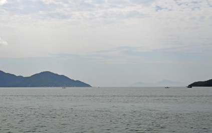 photo 1110347