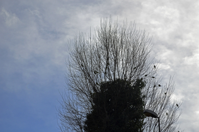 photo 1007203