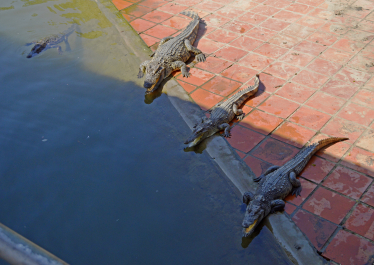 photo 1075414