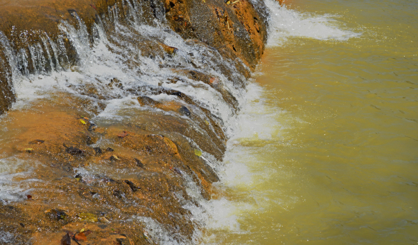 _DSC0304