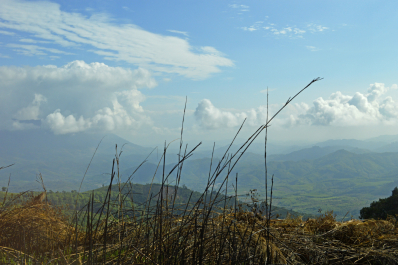 photo 1009653