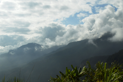 photo 1028199