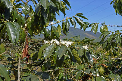 photo 1050043