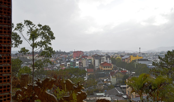 _DSC0753