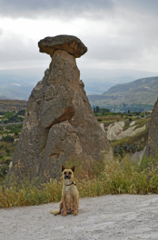 photo 1132873