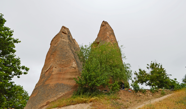 _DSC0240