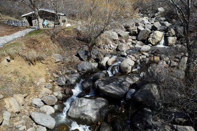 photo 1264261