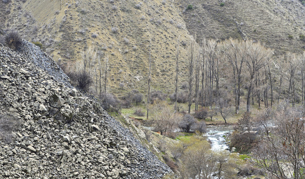 _DSC0500