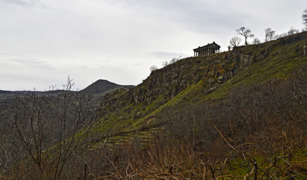_DSC0484
