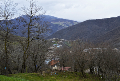 photo 1274839